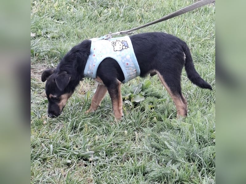 Armani ein kleiner Schatz