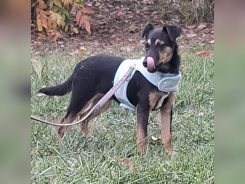Armani ein kleiner Schatz