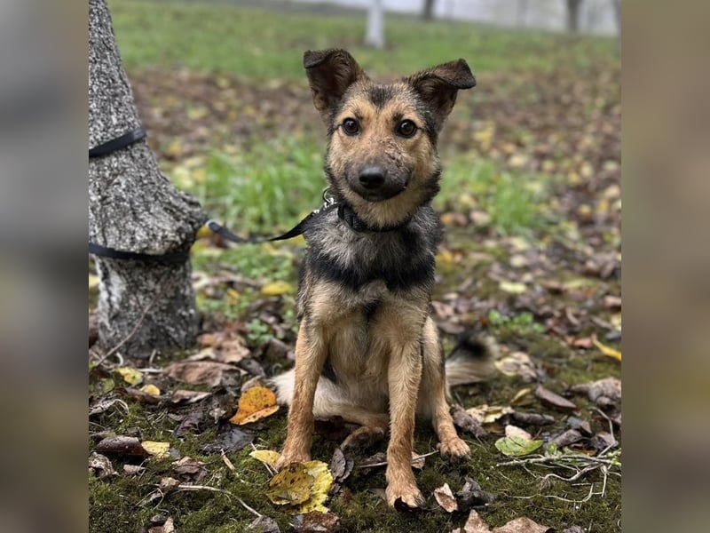 Meri ein absoluter Schatz