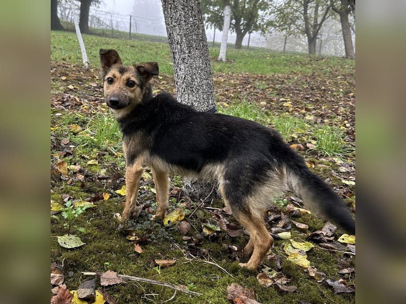 Meri ein absoluter Schatz