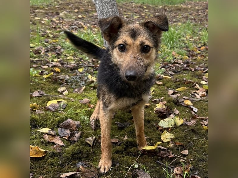 Meri ein absoluter Schatz