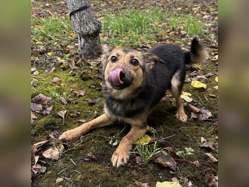 Meri ein absoluter Schatz