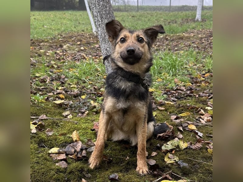 Meri ein absoluter Schatz