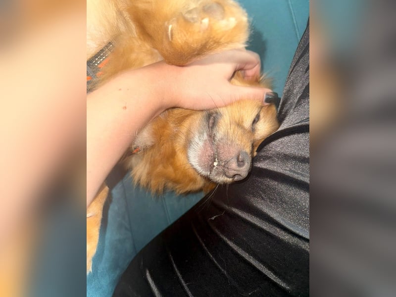 Nacho braucht Menschen, die ihn souverän die Welt zeigen