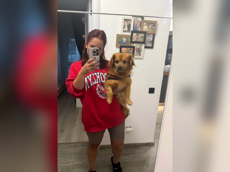 Nacho braucht Menschen, die ihn souverän die Welt zeigen