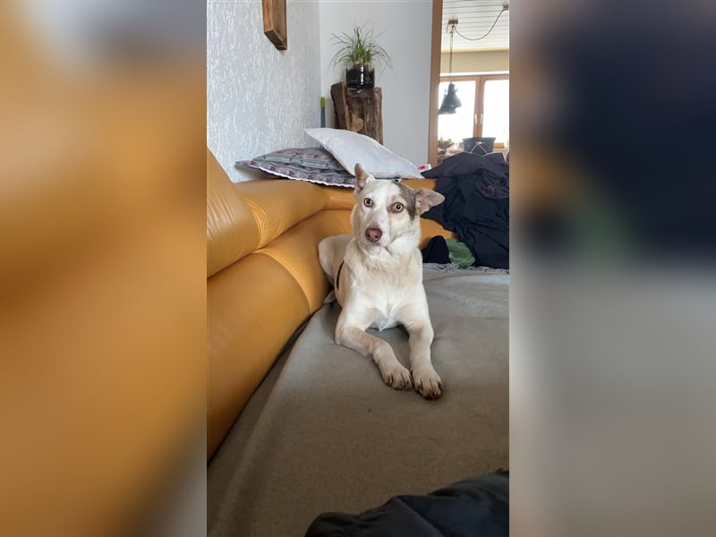 KAIA ❤ (wird Malu gerufen)  wartet in 94227 Zwiesel auf Dich