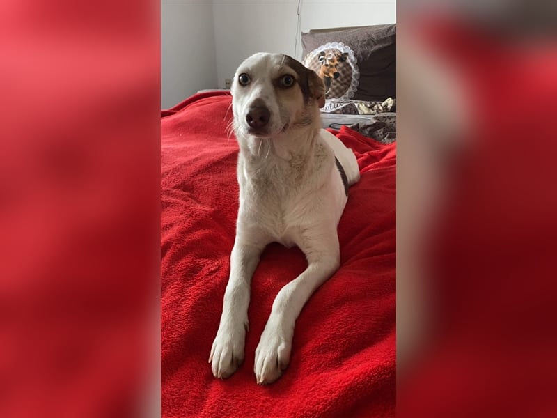 KAIA ❤ (wird Malu gerufen)  wartet in 94227 Zwiesel auf Dich