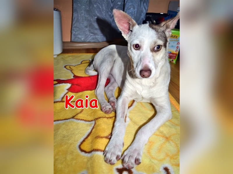 KAIA ❤ (wird Malu gerufen)  wartet in 94227 Zwiesel auf Dich