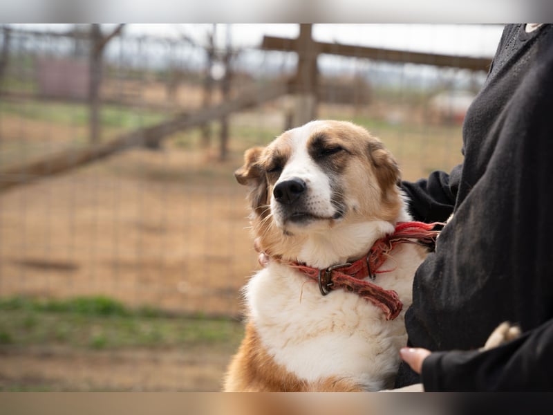 Anne - Eine sanfte Seele sucht endlich ihr eigenes Leben