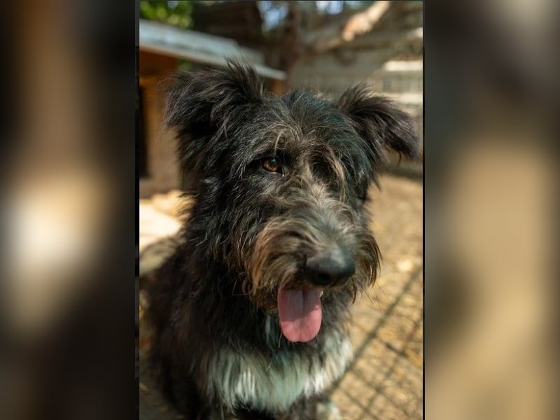 Aufgeweckte Susi sucht ihre Familie