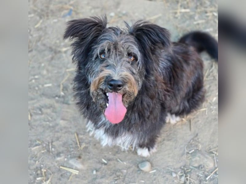 Aufgeweckte Susi sucht ihre Familie