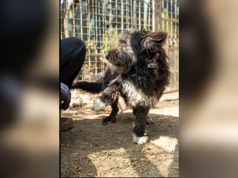 Aufgeweckte Susi sucht ihre Familie