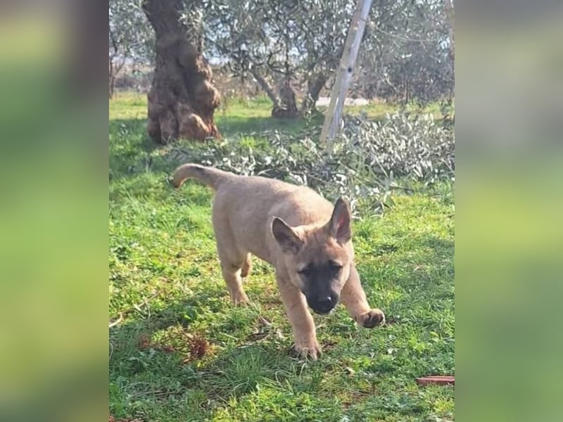 Polina - zum Glück rechtzeitig gefunden und gerettet