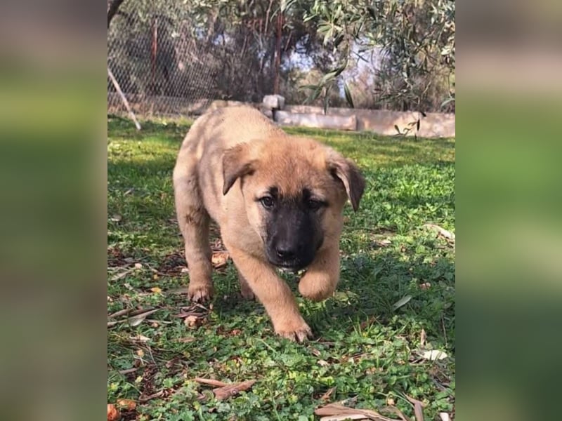 Polina - zum Glück rechtzeitig gefunden und gerettet