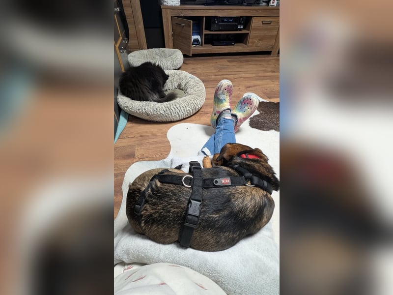 Zaubermaus Mini sucht liebevolles Zuhause