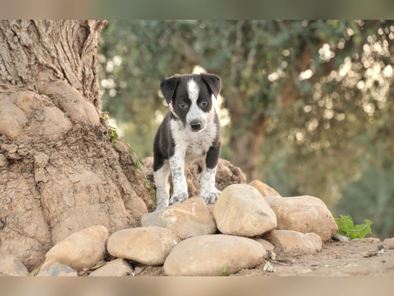 Darf Claudia an deiner Seite die Welt entdecken?