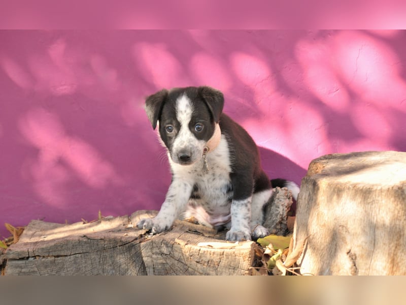 Darf Claudia an deiner Seite die Welt entdecken?