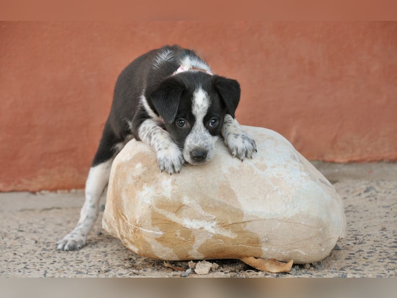 Darf Claudia an deiner Seite die Welt entdecken?