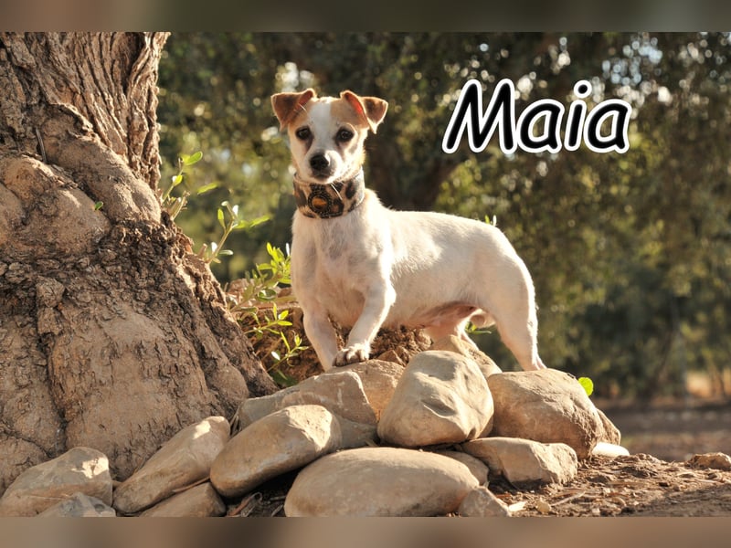 Schenken Sie Maia Liebe und Geborgenheit?