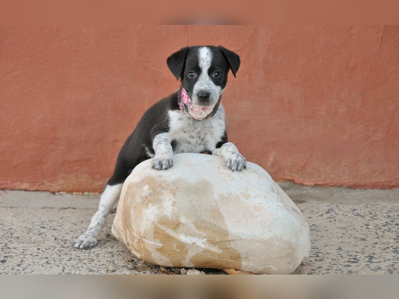 Darf Claudia an deiner Seite die Welt entdecken?