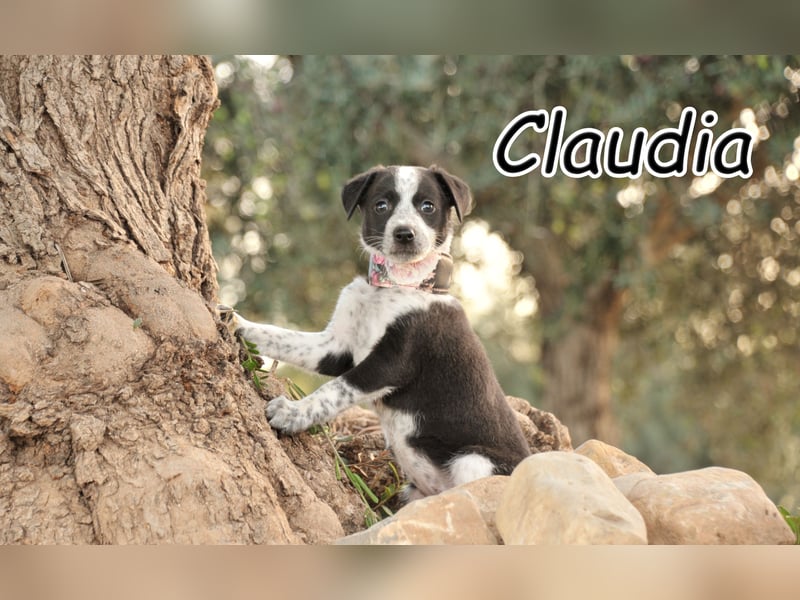 Darf Claudia an deiner Seite die Welt entdecken?