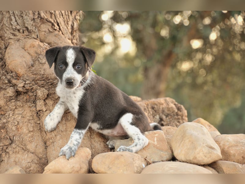 Darf Claudia an deiner Seite die Welt entdecken?