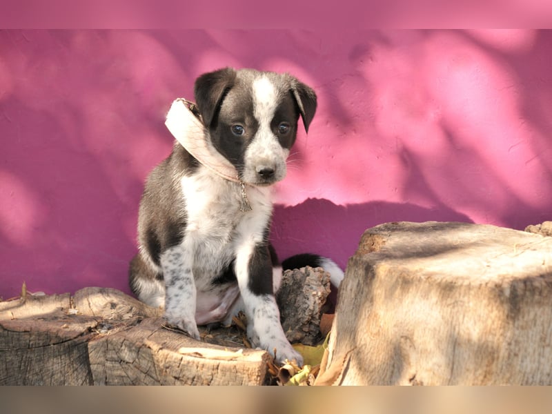 Darf Claudia an deiner Seite die Welt entdecken?