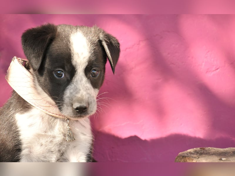 Darf Claudia an deiner Seite die Welt entdecken?