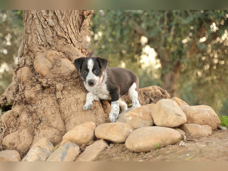 Darf Claudia an deiner Seite die Welt entdecken?