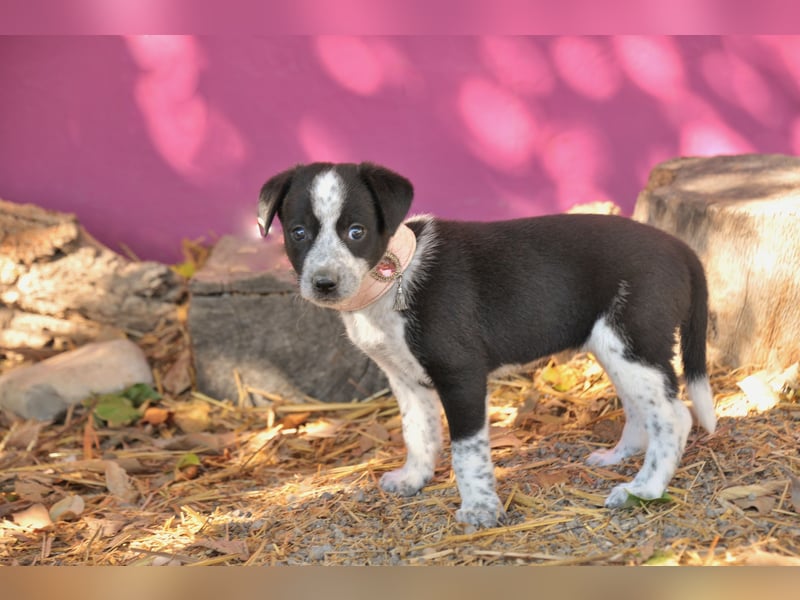 Darf Claudia an deiner Seite die Welt entdecken?