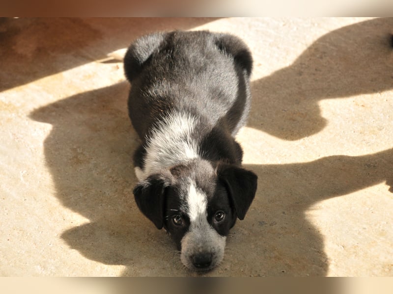 Darf Claudia an deiner Seite die Welt entdecken?