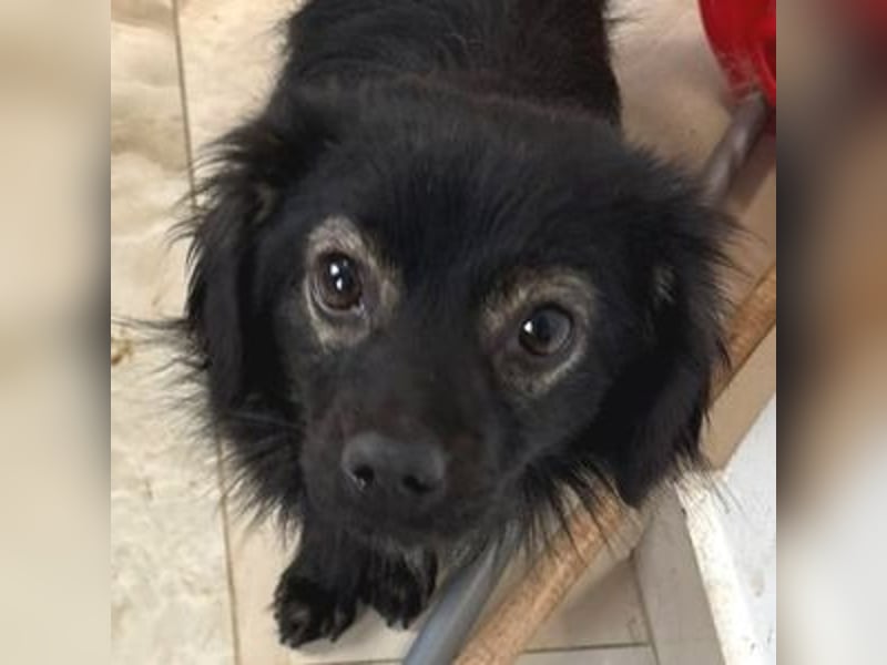 JARO braucht Retter in der Not