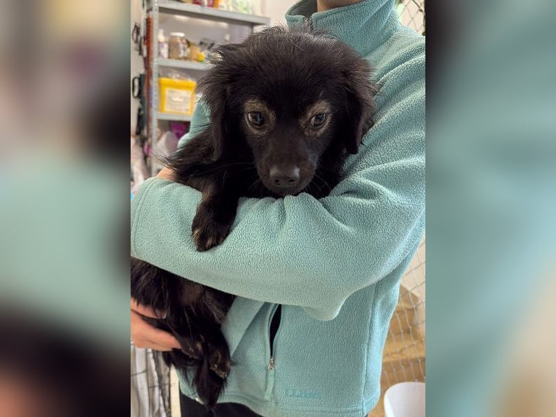 JARO braucht Retter in der Not