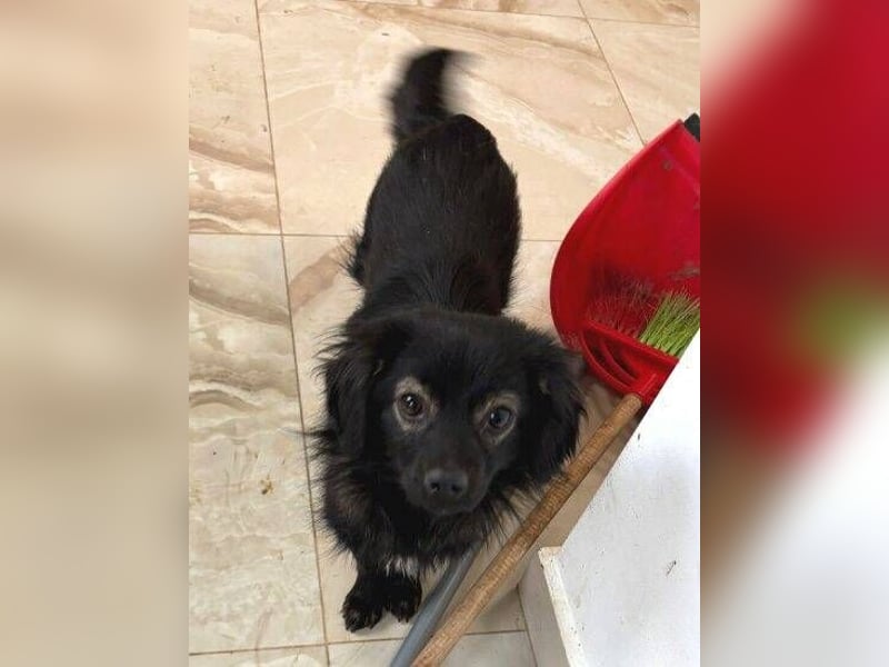 JARO braucht Retter in der Not