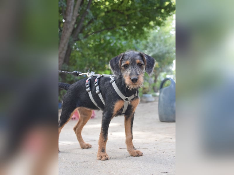 Debby - mag alles und jeden und möchte die Welt umarmen