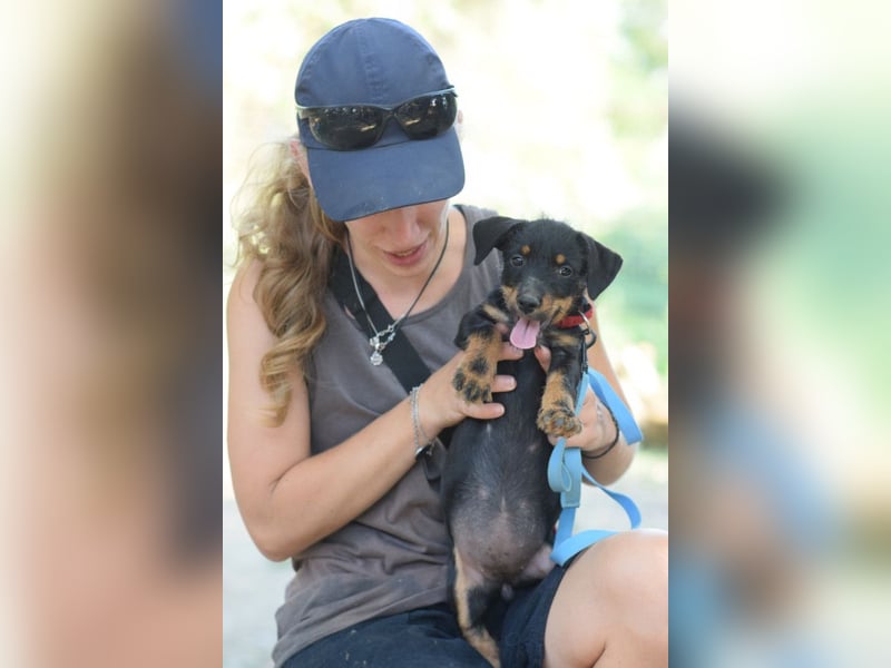 Princess - bereit neues zu entdecken, liebt es zu kuscheln