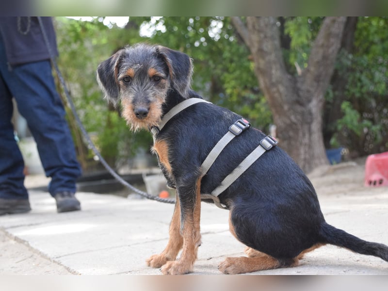 Debby - mag alles und jeden und möchte die Welt umarmen