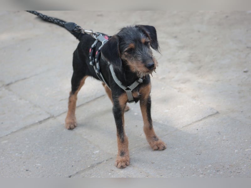 Debby - mag alles und jeden und möchte die Welt umarmen