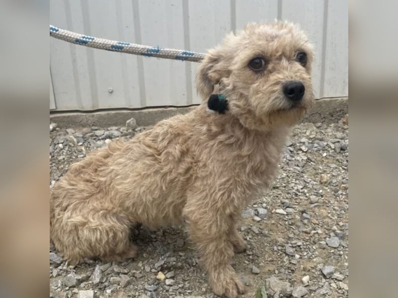 SACKA - SUCHT GEBORGENHEIT