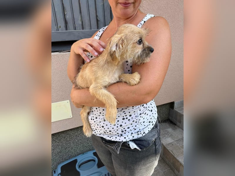Artur, geboren 20.06.2025 sucht siene Chance