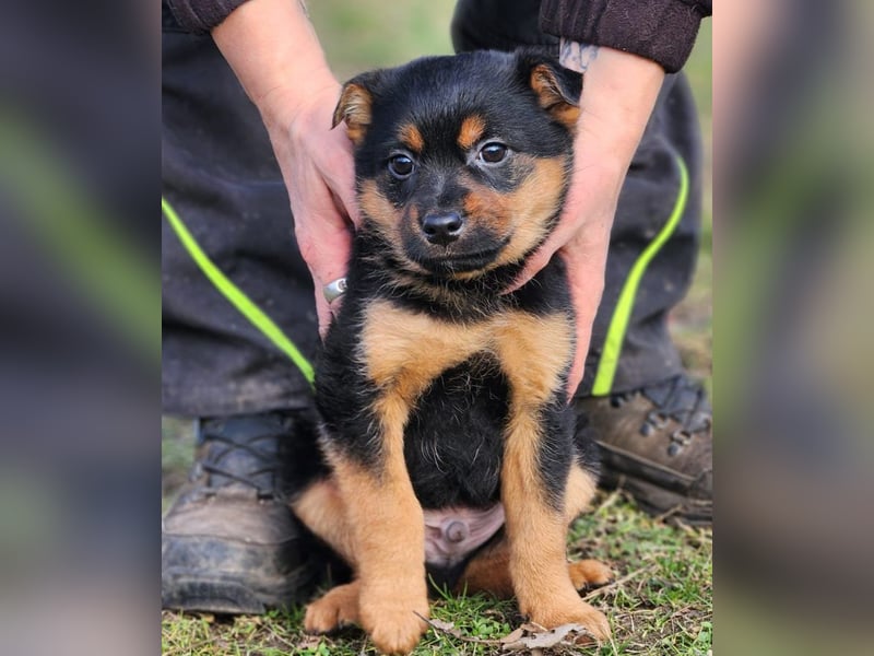 F3 sucht Geborgenheit