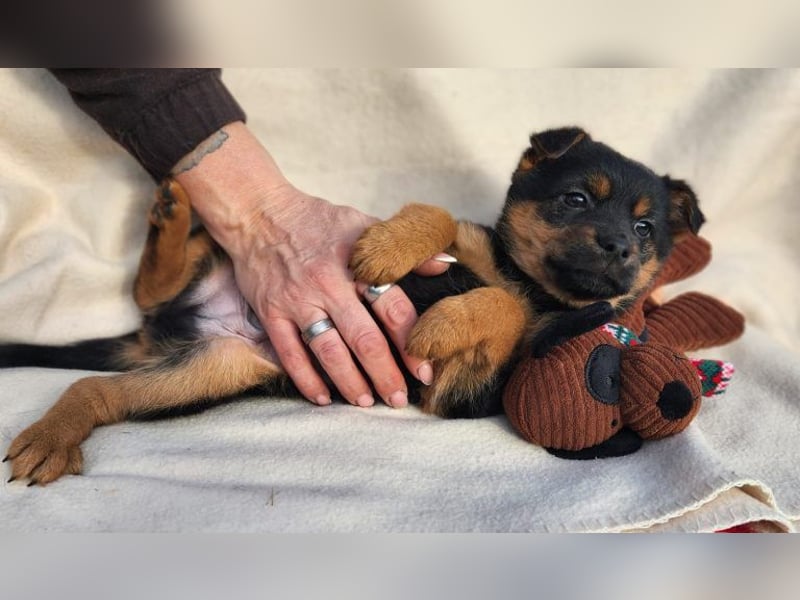 F3 sucht Geborgenheit