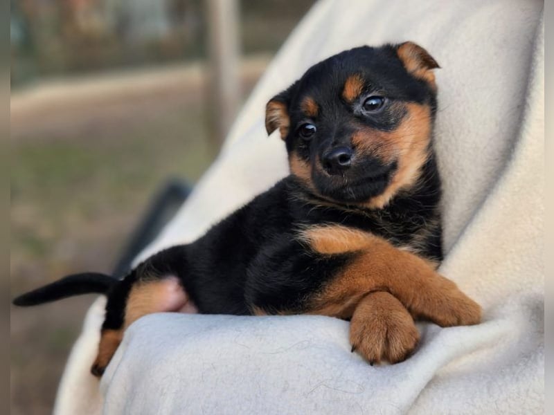 F3 sucht Geborgenheit