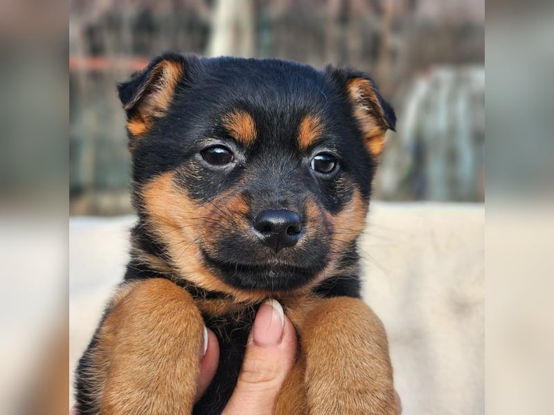 F3 sucht Geborgenheit