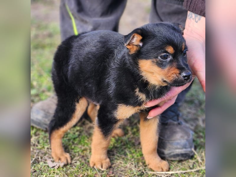 F3 sucht Geborgenheit