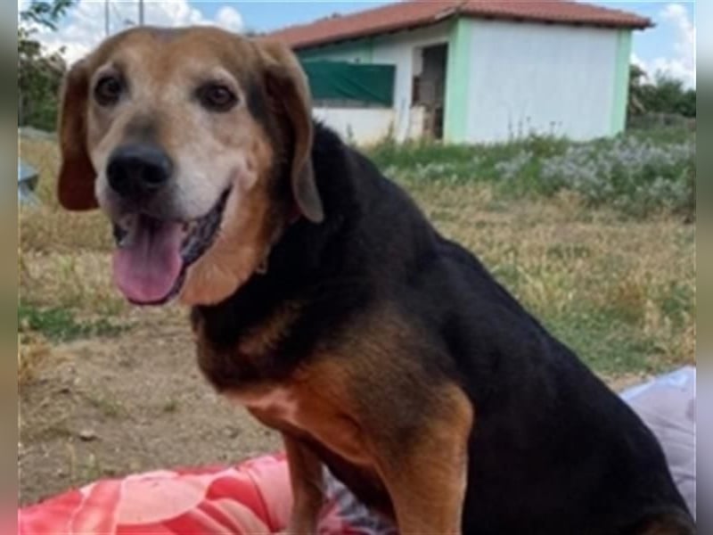 *Handicap* Anna - Schmusebacke mit Lebenswillen und Lebensfreude