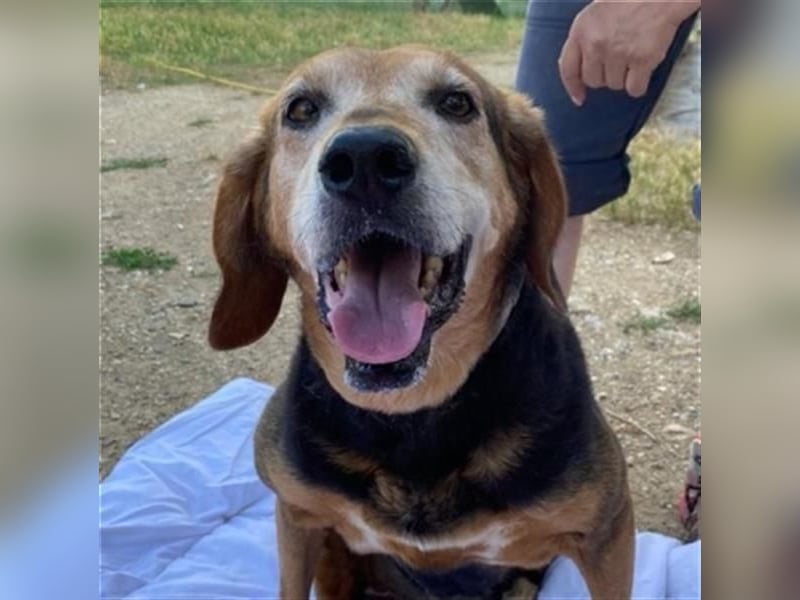 *Handicap* Anna - Schmusebacke mit Lebenswillen und Lebensfreude