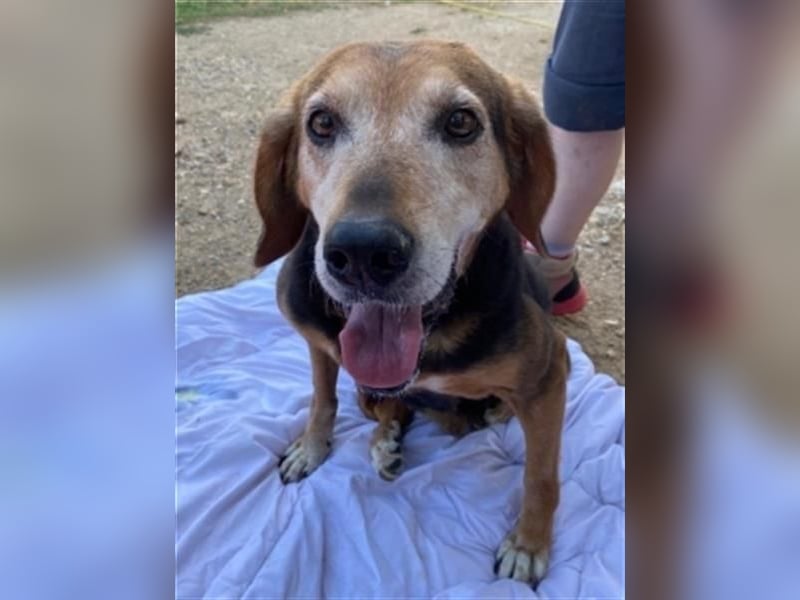 *Handicap* Anna - Schmusebacke mit Lebenswillen und Lebensfreude