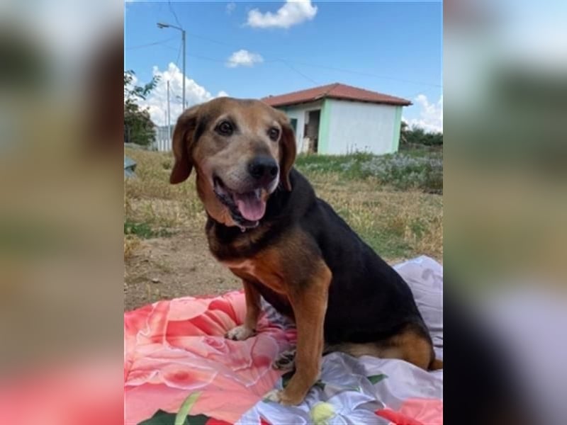 *Handicap* Anna - Schmusebacke mit Lebenswillen und Lebensfreude