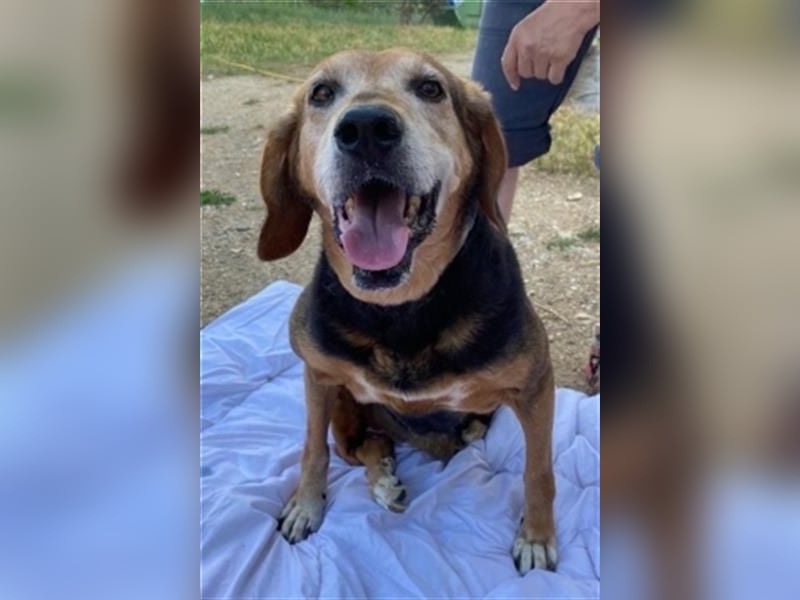 *Handicap* Anna - Schmusebacke mit Lebenswillen und Lebensfreude